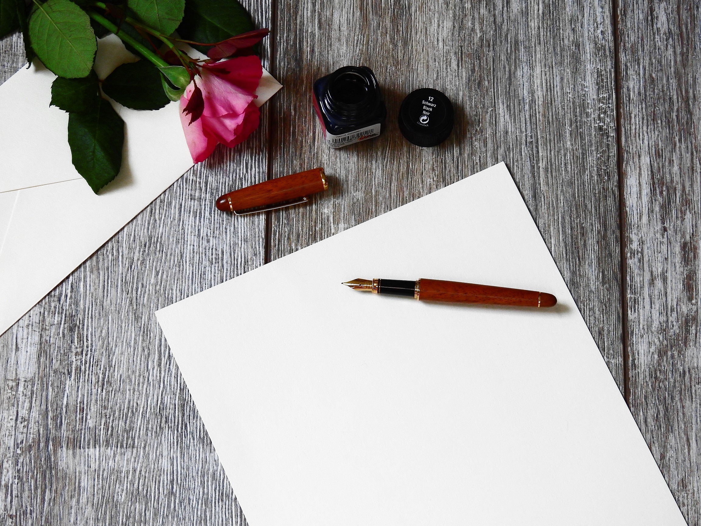 blank bloom blossom composition